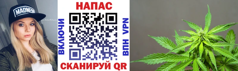 Каннабис сатива  Могоча 